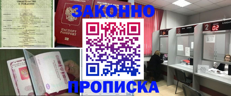 прописка в квартире в Ленинградской области